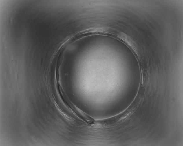 X0000083970253200702161111