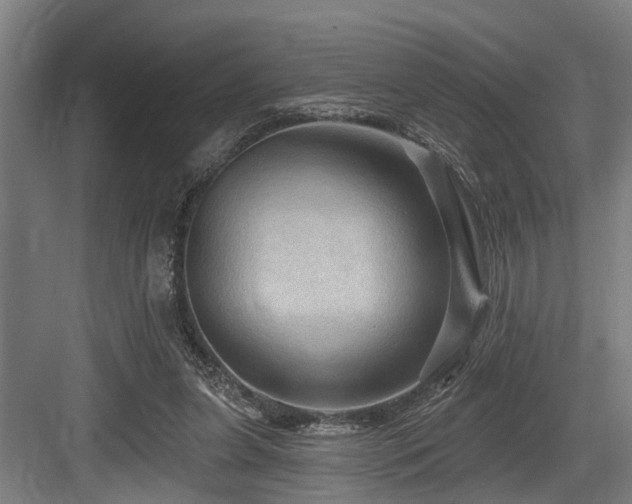 X0000083970255200702161111