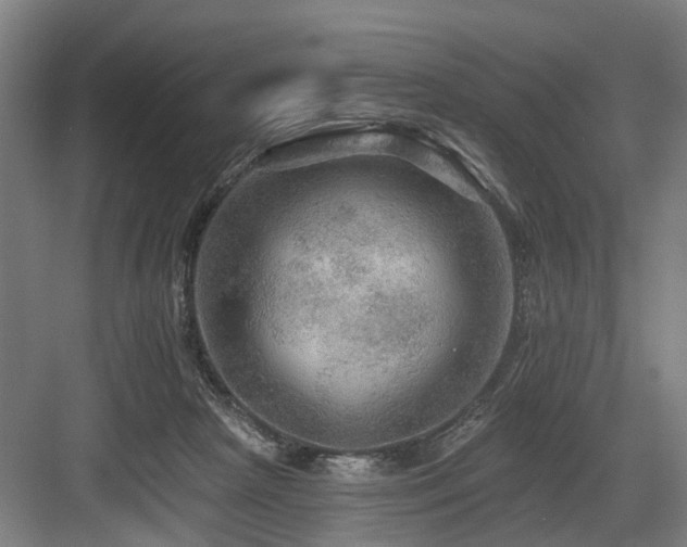 X0000083970265200702161111