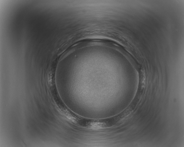 X0000083970268200702161111
