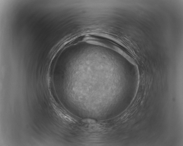 X0000083970290200702161111