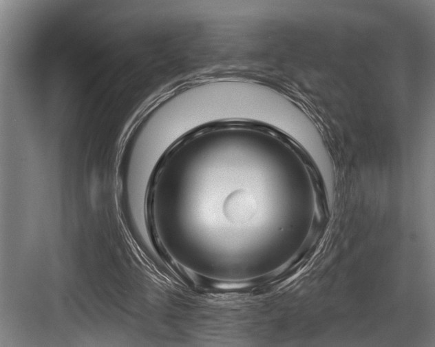 X0000083970293200702161111