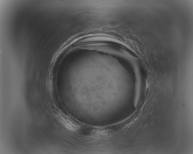 X0000083970295200702161110