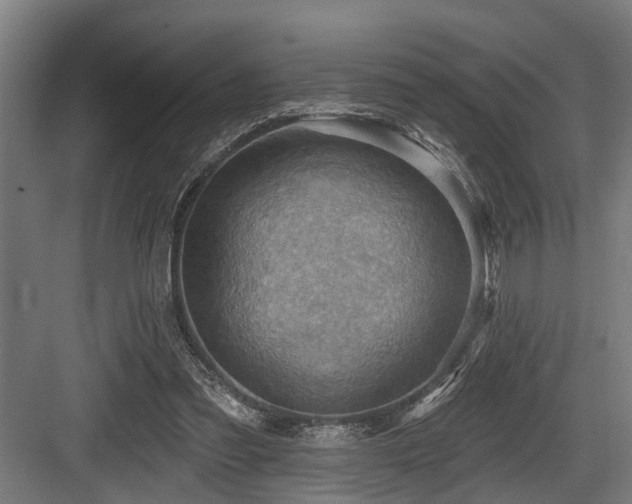 X0000083970301200702161110