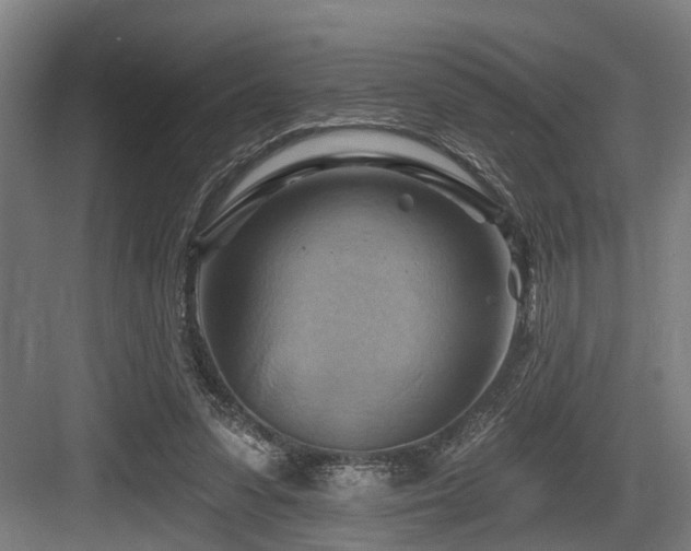 X0000083970303200702161110