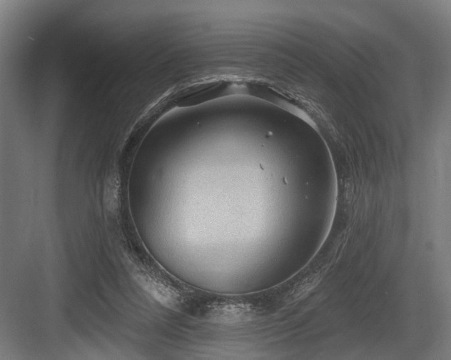 X0000083970304200702161110