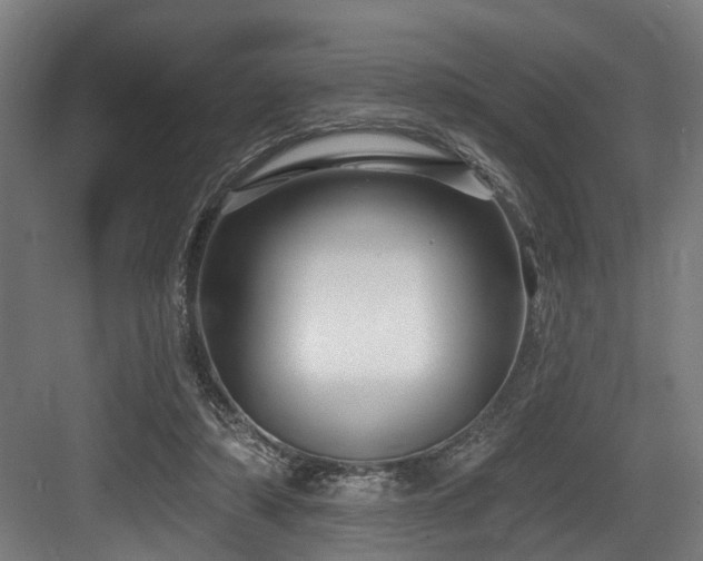 X0000083970306200702161110