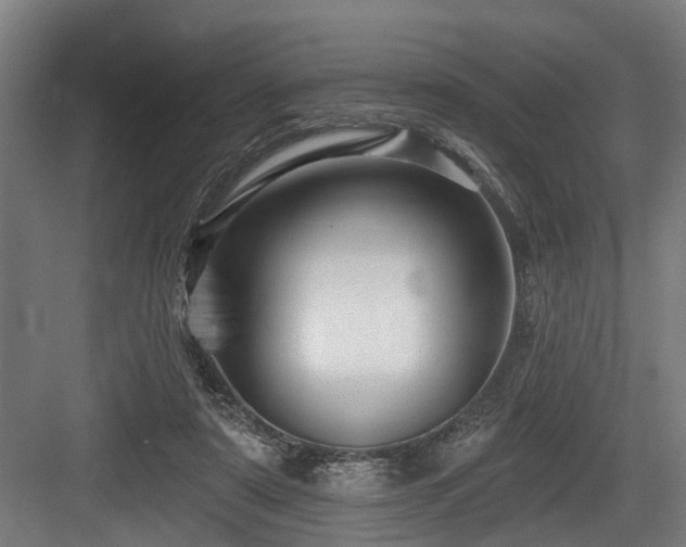 X0000083970307200702161110