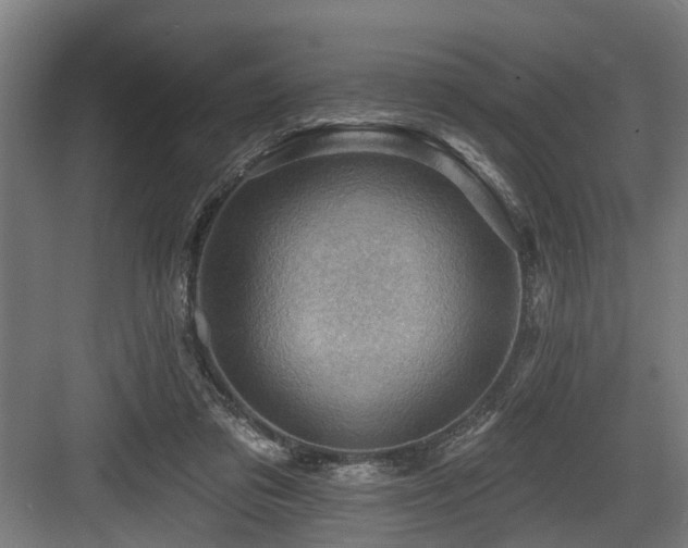 X0000083970309200702161110