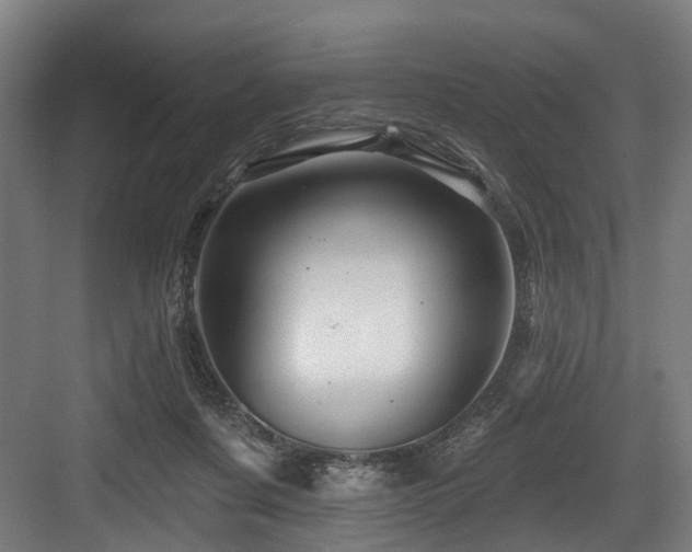 X0000083970311200702161110