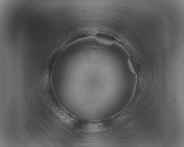 X0000083970314200702161110