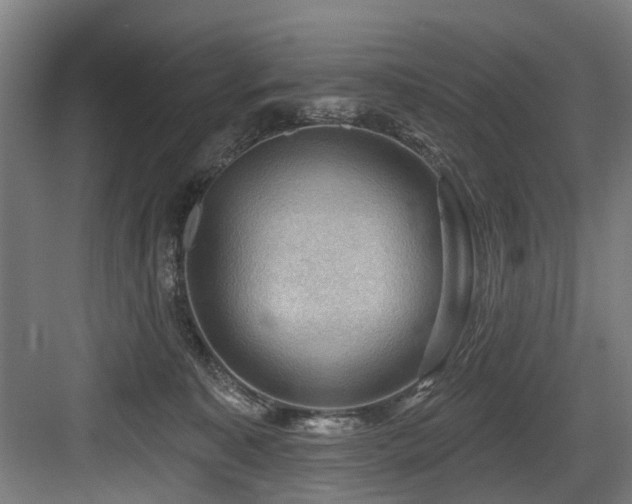 X0000083970323200702161110
