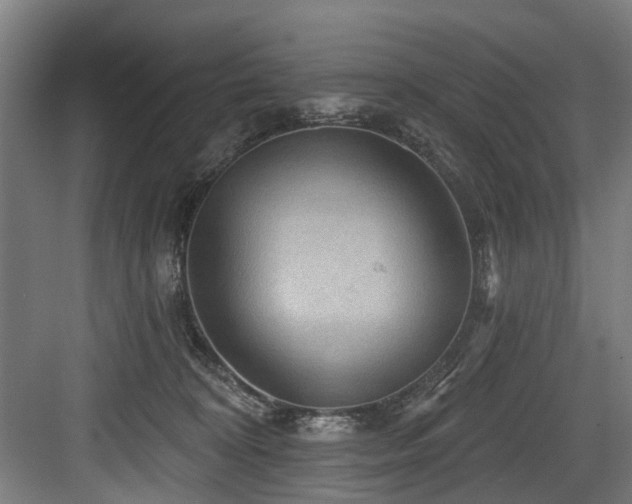 X0000083970324200702161110