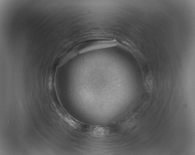 X0000083970330200702161110