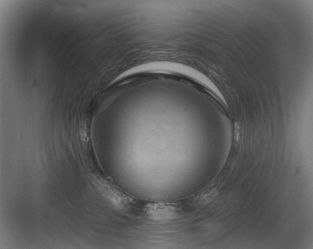 X0000083970331200702161110