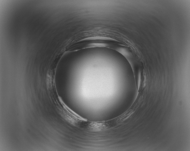 X0000083970333200702161110