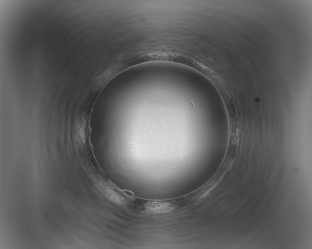 X0000083970334200702161110