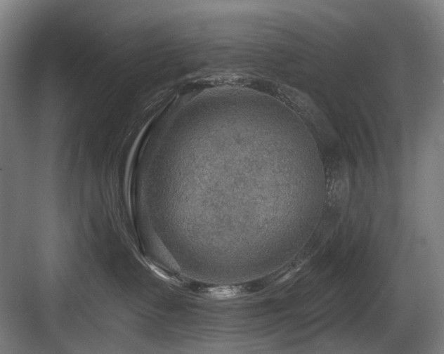 X0000083970335200702161110