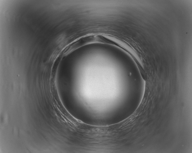 X0000083970338200702161109