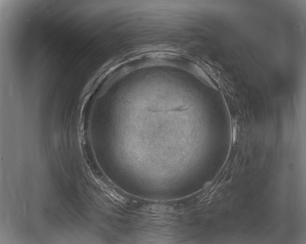 X0000083970339200702161109