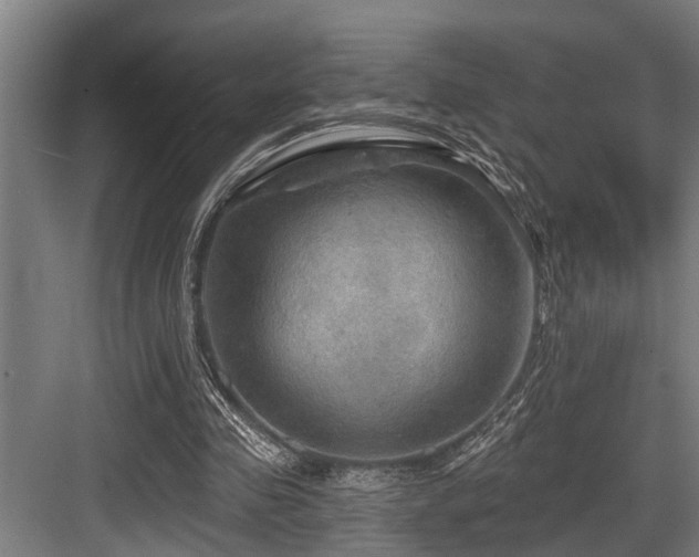 X0000083970341200702161109