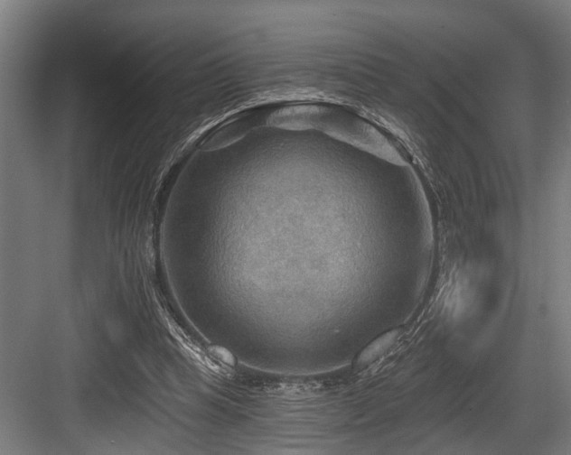 X0000083970345200702161109
