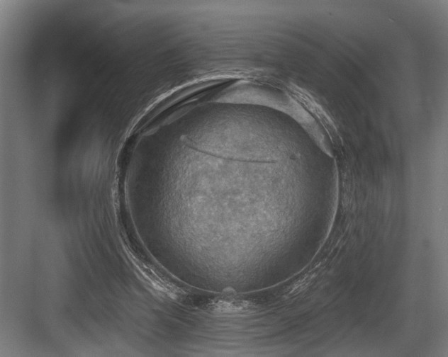 X0000083970346200702161109