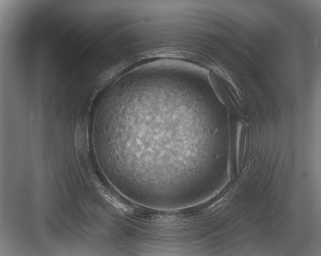 X0000083970349200702161109
