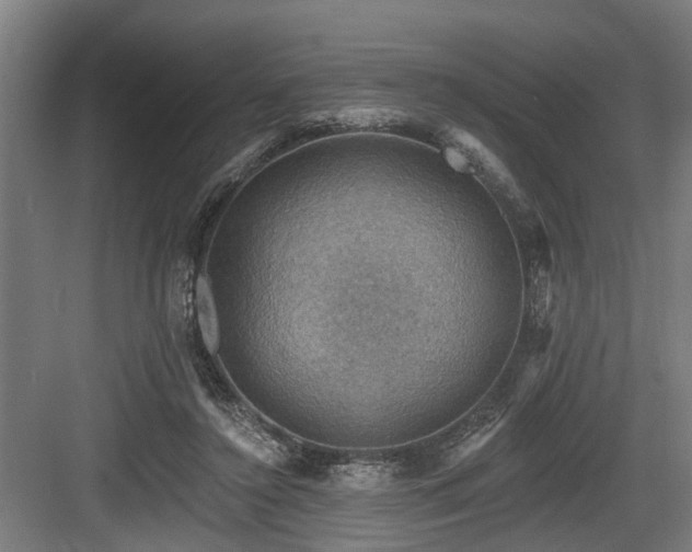 X0000083970356200702161109