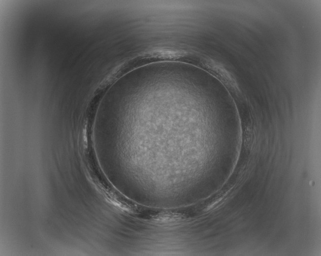 X0000083970358200702161109