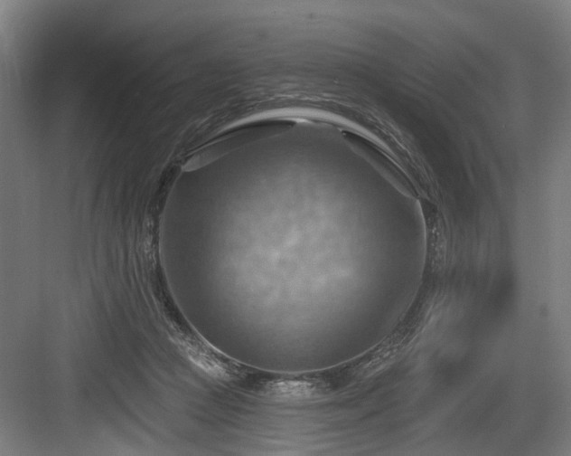 X0000083970361200702161109