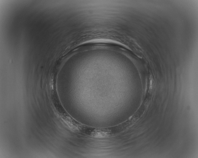 X0000083970368200702161110