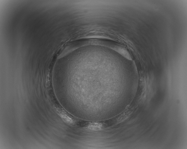 X0000083970369200702161110
