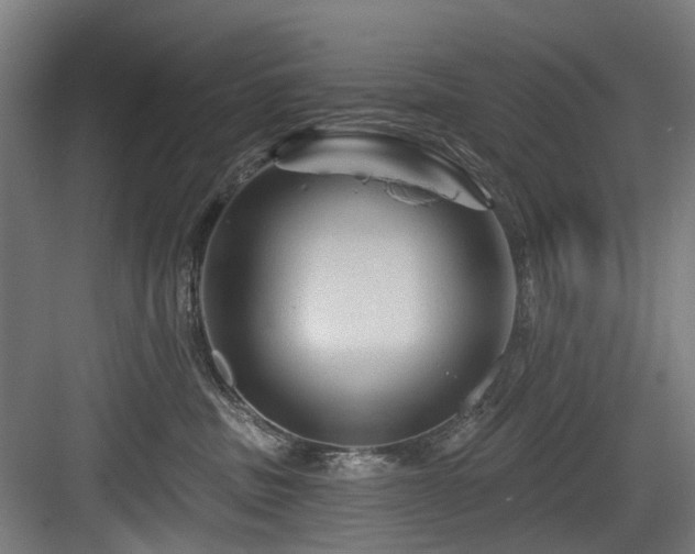 X0000083970379200702161110