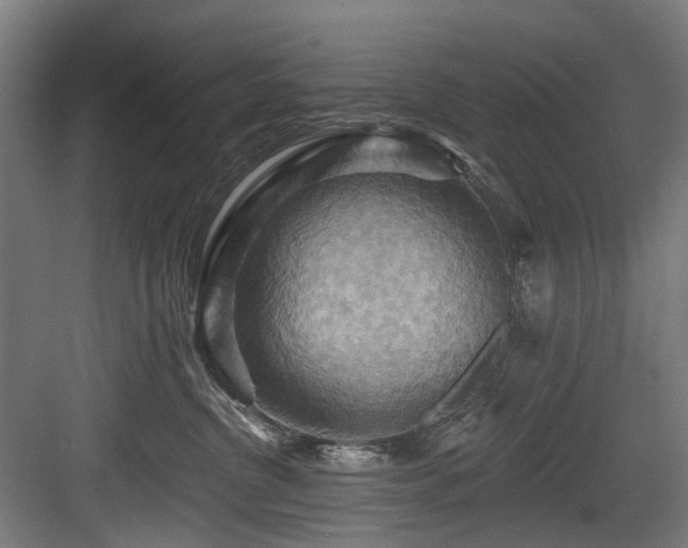 X0000083970380200702161110