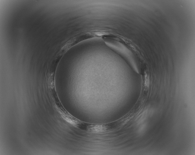 X0000083970383200702161110