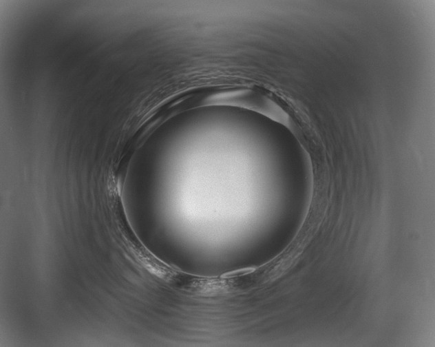 X0000083970384200702161110