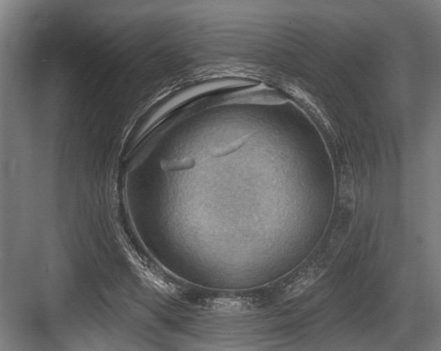 X0000083970394200702161109
