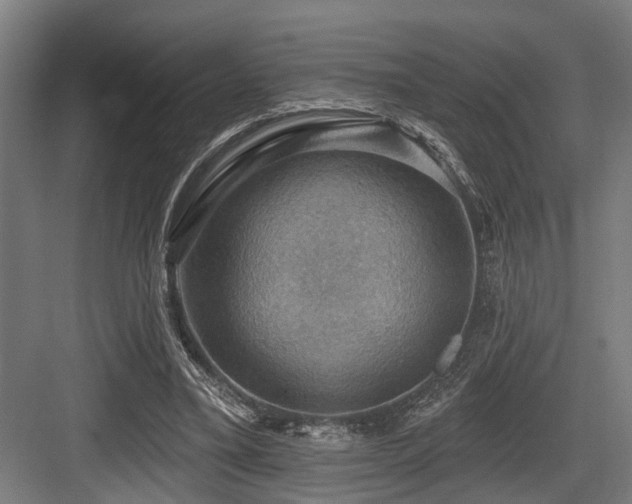 X0000083970395200702161109