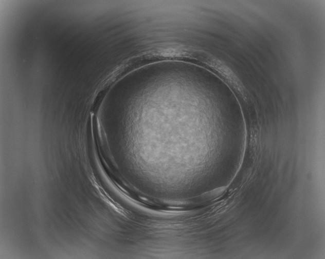 X0000083970397200702161109