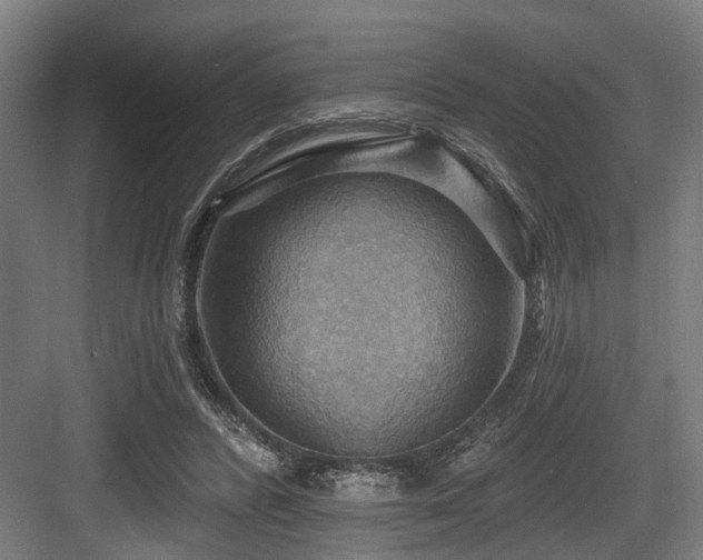 X0000083970400200702161109
