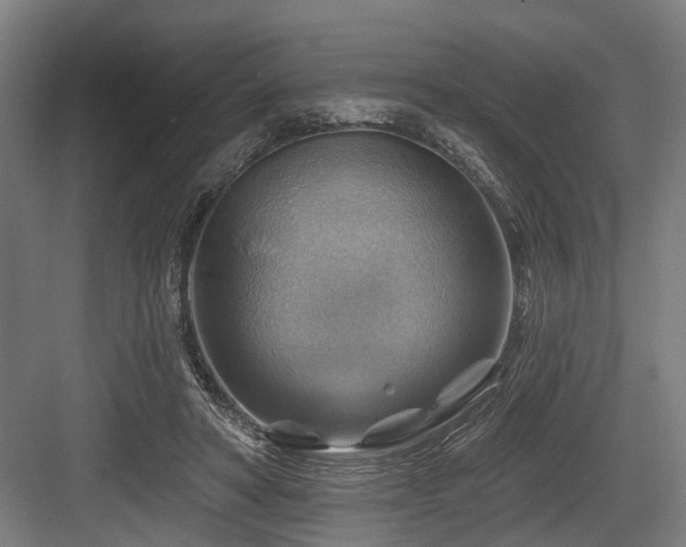 X0000083970402200702161109