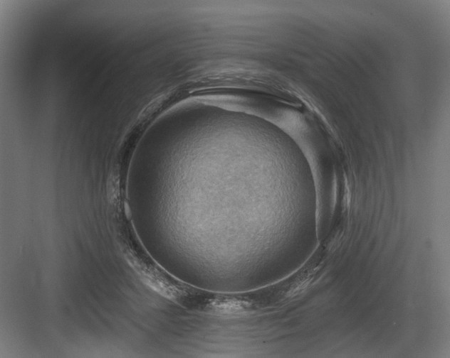 X0000083970407200702161109
