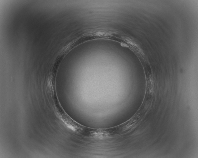 X0000083970415200702161108