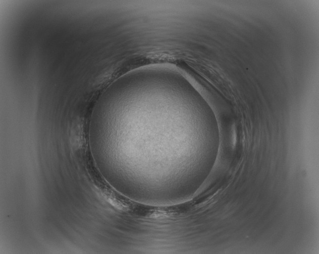 X0000083970416200702161108