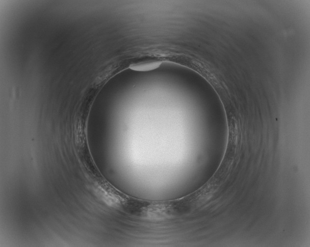 X0000083970418200702161108