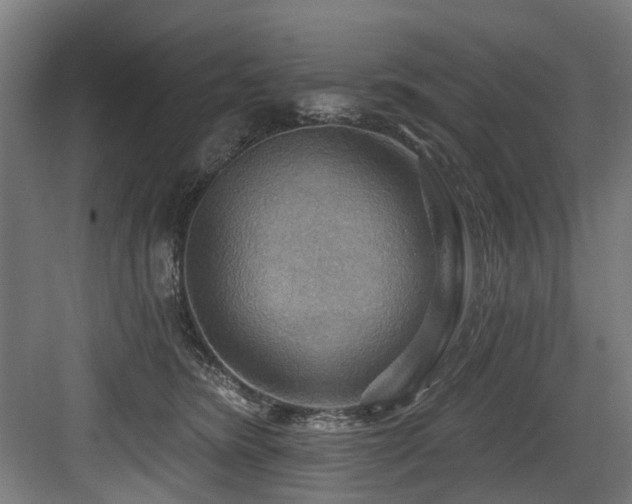 X0000083970420200702161108