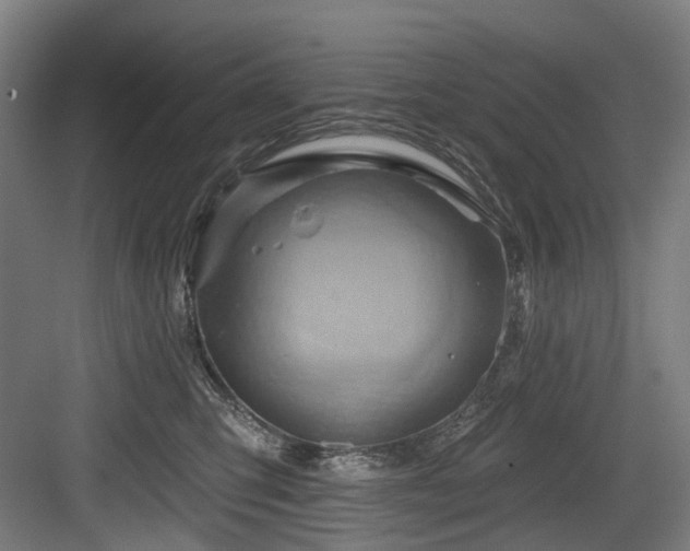 X0000083970423200702161108