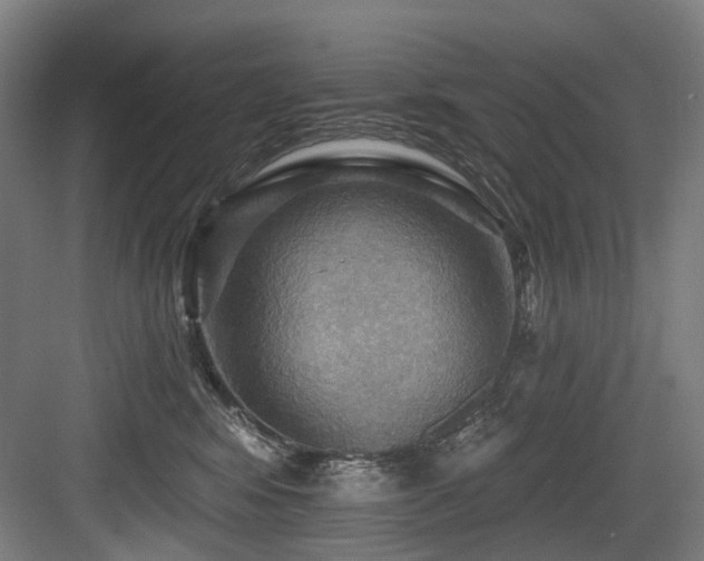 X0000083970424200702161108