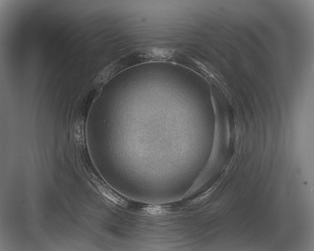 X0000083970425200702161108